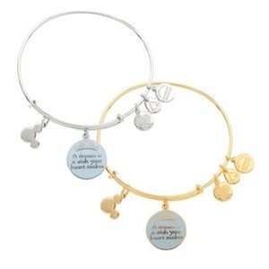 Alex & Ani bracelet Cinderella “A Dream is a Wish”